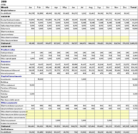 Cash Flow Forecast